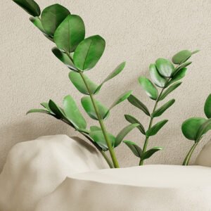 Snake Plant